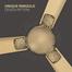 Havells 56 inch Enticer Hues - Gold image