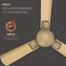 Havells 56 inch Enticer Hues - Gold image