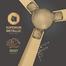 Havells 56 inch Enticer Hues - Gold image