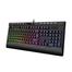 Havit KB487L USB Multi-Function Backlit Keyboard with Wrist Rest. 87 Keys, N Key Rollover image