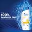 Head and Shoulders Lemon Fresh Anti Dandruff Shampoo for Women image