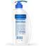 Head and Shoulders Anti Dandruff Neem Shampoo 650ml IN image