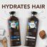 Herbal Essences Coconut Milk CONDITIONER (For Hydration-No Paraben No Colorants No Gluten)- 400 ML image