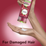 Herbal Essences Love Me Longer Shampoo 400ml image