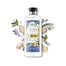 Herbal Essences Micellar Water And Blue Ginger Shampoo 400ml image