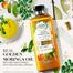 Herbal Essences Smooth Golden Moringa Oil Shampoo 400 ml image