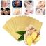 Herbal Ginger Patch Body Detox Neck Knee Pad Pain Relief Health Care image