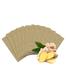 Herbal Ginger Patch Body Detox Neck Knee Pad Pain Relief Health Care image