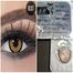 Bella Highlight Cool Hazel Color Contact Lens image