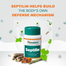 Himalaya Wellness Pure Herbs Septilin Tablets 60Pcs image