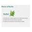 Himalaya Wellness Pure Herbs Shallaki Bone And Joint Wellness Tablet 60Pcs image