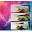 Hobby and Fun Electric Airbrush image