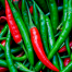 Hybrid All Season Chili Re-Pack (Indian) Seeds - 0.1gm image