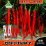 Hybrid Chinese Long Chili Seeds image