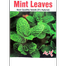 Hybrid Mint Pudina Seeds Re-Pack image