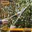 INGCO HHS6001 Hedge Shear image