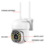 IP Camera with Wifi Antenna image