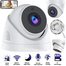 IP Dome Camera image
