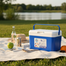 Ice Cooler Box 3L image