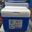 Ice Cooler Box 3 Liter (Multicolor) image