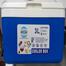 Ice Cooler Box 3 Liter (Multicolor) image