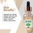 Ikebana Aloe Vera Oil (30 ml) image