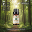 Ikebana Cbd Essential Oil (20 ml) image