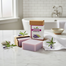 Ikebana Lavender Handmade Soap (90 gm) image