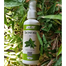 Ikebana Tea Tree Mist Spray 100 ml image
