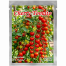 Imported Red Cherry Tomato Intact Pack - 1gm image