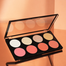 Insight Blush and Highlight Palette image