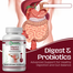Integmeds Digest and Probiotics 60 Capsules image