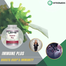 Integmeds Immune Plus - 120 Capsule image