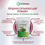 Integmeds Organic Graviola Leaf Powder - 283 gm image