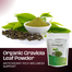 Integmeds Organic Graviola Leaf Powder - 283 gm image