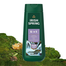 Irish Spring Mountain Chill Moisturizing Face and Body Wash – 591ml image