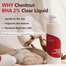 Isntree Chestnut Bha 2 Percent Clear Liquid 100ml image