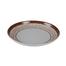 Italiano 10 Inches Coup Plate - Golden Leaf image
