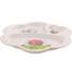 Italiano Flower Tray 9 Inches image