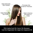 JAYSUING Rosemary Oil for Hair Growth-30ml image