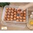 Jadroo High Quality Egg Storage Box image
