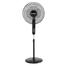Jadroo Pedestal Fan - 212/B (Black) image