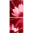 Jamuna 170L Refrigerator JE-170L CD Wine Water Lily image