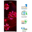 Jamuna JE-5SUS2D2 QD Glass Refrigerator Red Lotus image