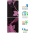 Jamuna JE-XXB-LS52J800 QD Glass Refrigerator Purple Dream image