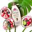 Jergens Hydrating Coconut Moisturizer Body Lotion Pump 400 ml image