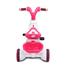 Jim And Jolly Rock Rider W/O Backrest 3Y Plus - Pink image