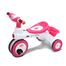 Jim And Jolly Rock Rider W/O Backrest 3Y Plus - Pink image
