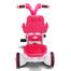 Jim and Jolly Rock Rider With Backrest 3Y Pink image