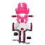Jim and Jolly Rock Rider With Backrest 3Y Pink image